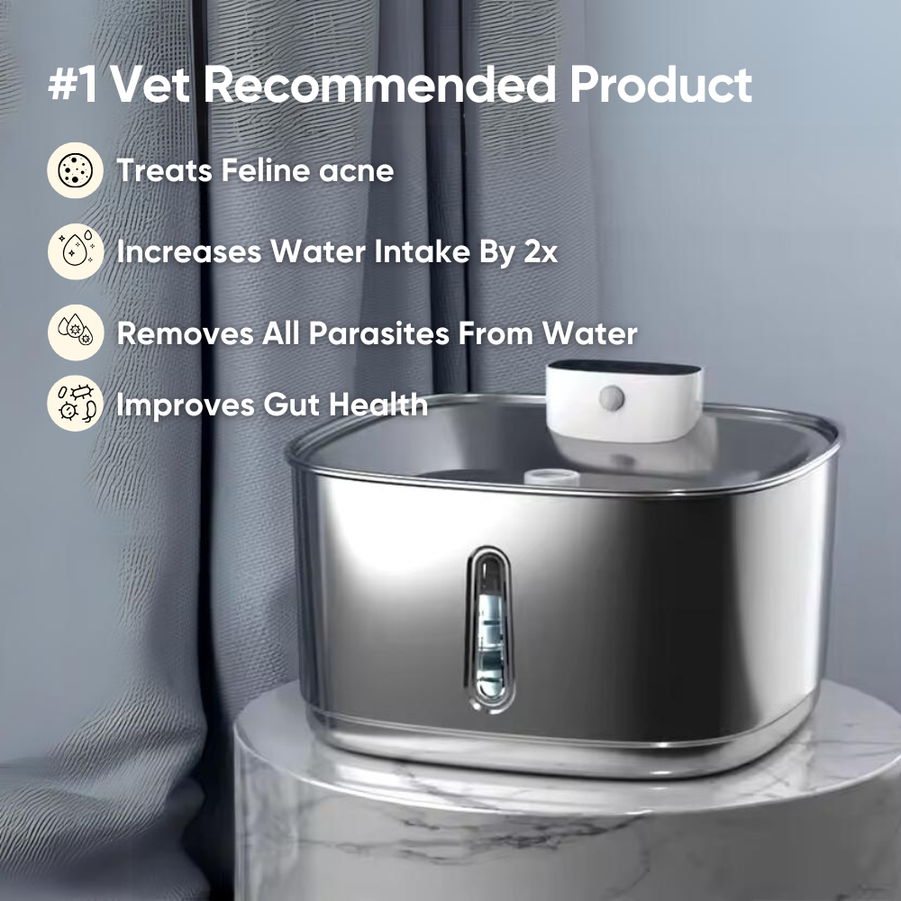 Filtered Cat Water Fountain