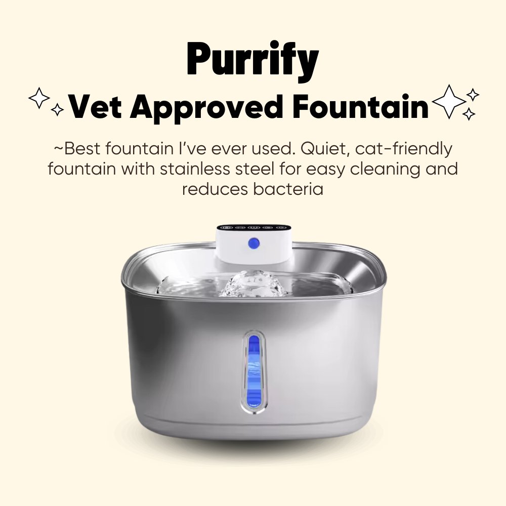 Purrify Purrify Kitty Fountain